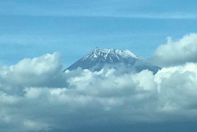 1 Day Charter Tour to Mt Fuji View - Private Mt Fuji Charter From Tokyo: Worth It for the Right Trip