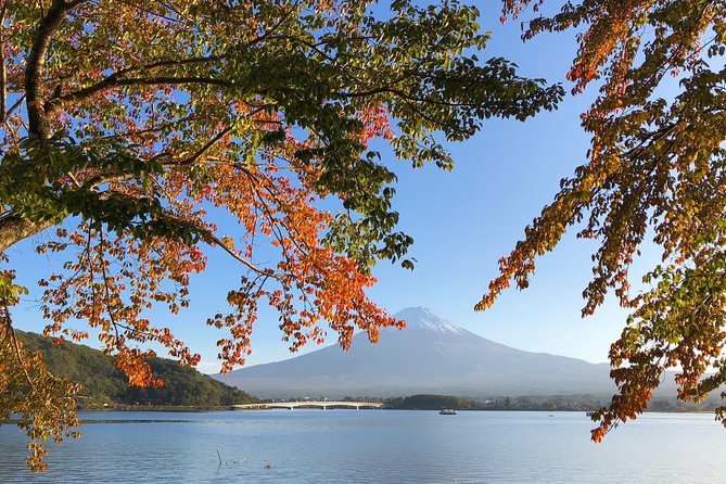 1 Day Charter Tour to Mt Fuji View - Lake Kawaguchiko: Ropeway or Lake Cruise for the Best Fuji Angles