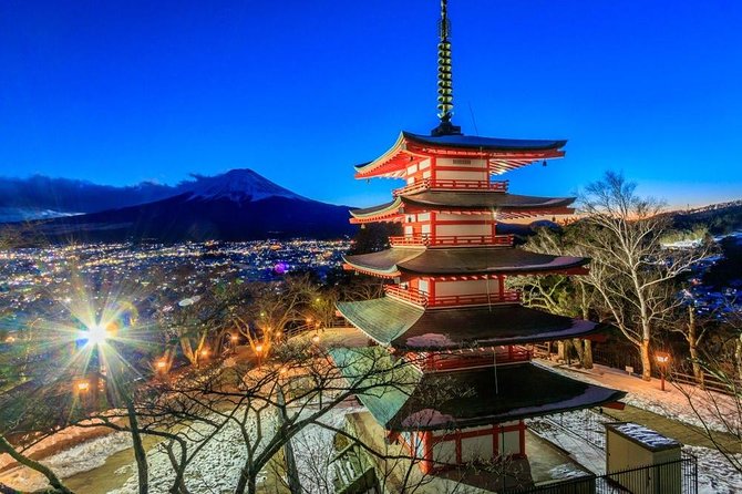 1 Day Charter Tour to Mt Fuji View - Oishi Park: Short Photo Time That Lets You Catch the Mood