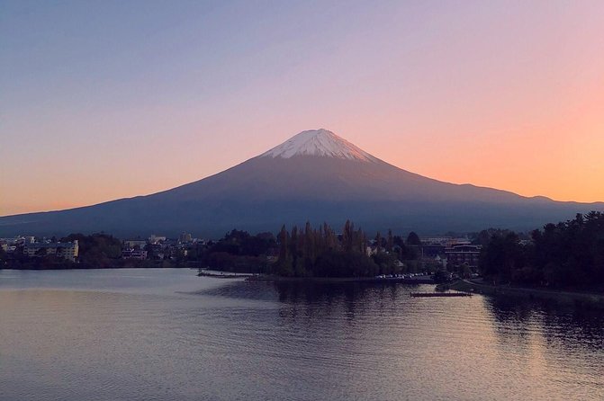 1 Day Charter Tour to Mt Fuji View - The Driver Advantage: Licensed, English-Friendly, and Practically Helpful