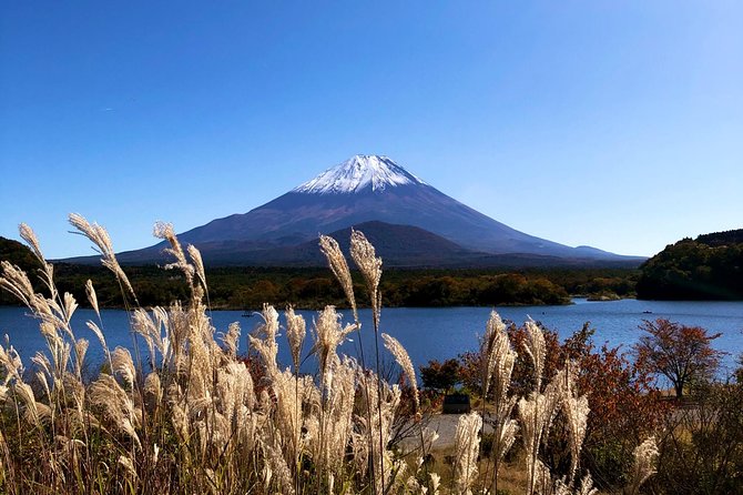 1 Day Charter Tour to Mt Fuji View - Arakura Fuji Sengen Shrine: A Pagoda View With Short Walk Time