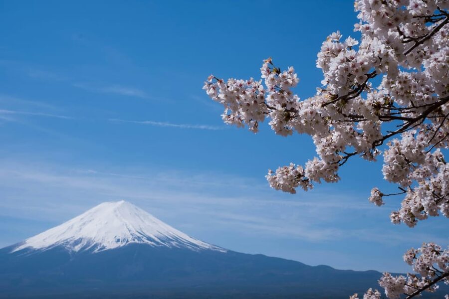 1-Day Mt Fuji and Hakone Sightseeing trip from Tokyo - Key highlights worth caring about
