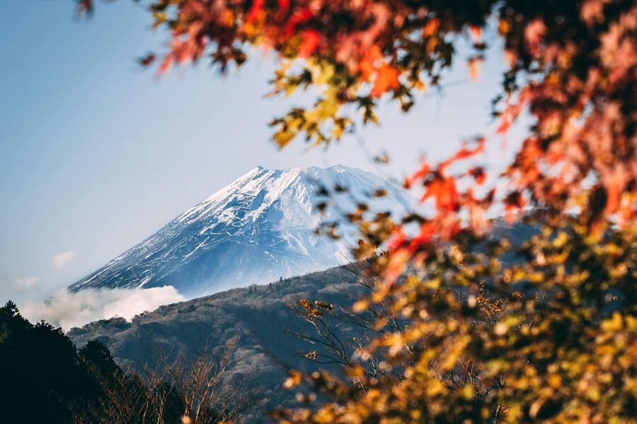 1-Day Mt Fuji and Hakone Sightseeing trip from Tokyo - A Private Day Around Mt. Fuji and Hakone (No Train Transfers Required)