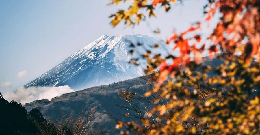 1-Day Mt Fuji and Hakone Sightseeing trip from Tokyo - The Pickup/Drop-Off Plan That Keeps Your Day Moving
