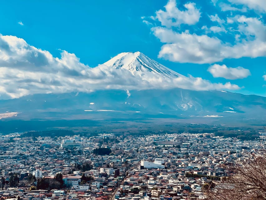 1-Day Mt Fuji and Hakone Sightseeing trip from Tokyo - Oishi Park: Shops, Views, and a More Relaxed Pace
