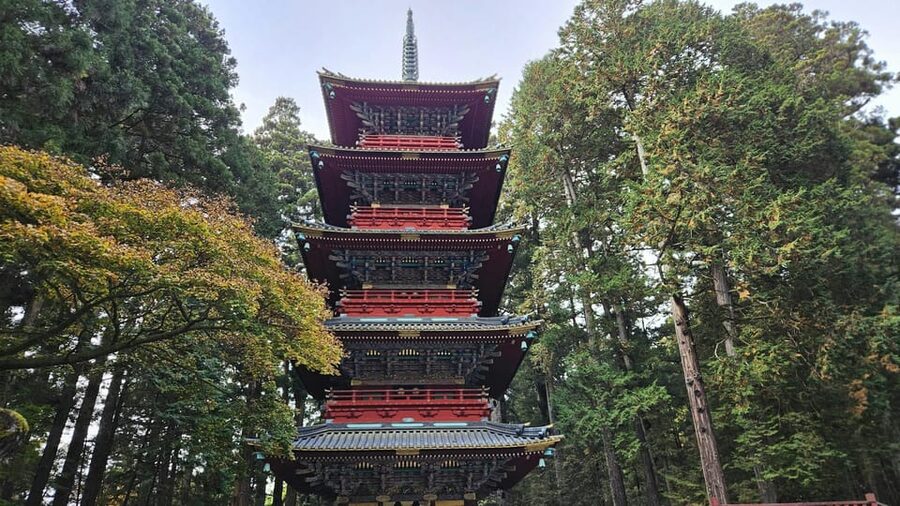 1 Day Nikko Wonders Tour from Tokyo - Private Group Comfort: Pickup, Drop-off, and a Day That Fits Your Hotel