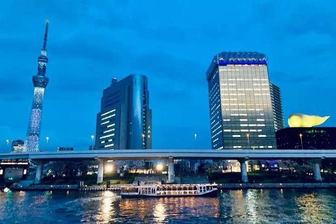 1 Day Private Charter Tokyo Tour (Green Number Plates) - Why a private Tokyo charter with green number plates is a smart first day