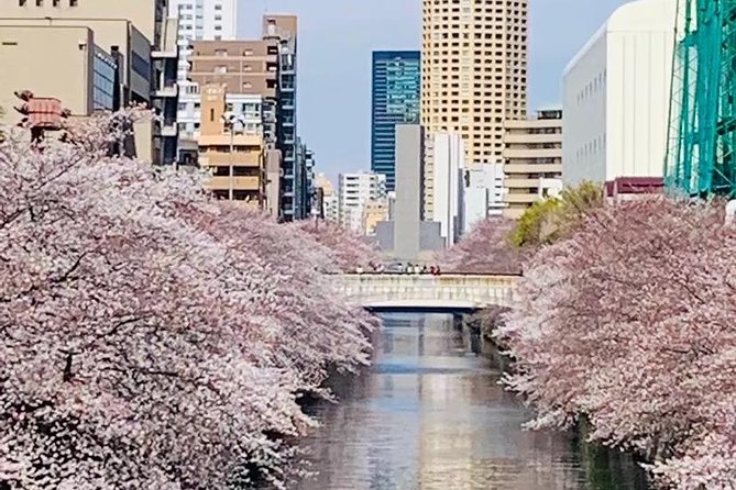 1 Day Private Charter Tokyo Tour (Green Number Plates) - Asakusa morning: Sensō-ji, Nakamise Street, and the easiest way to feel old Tokyo