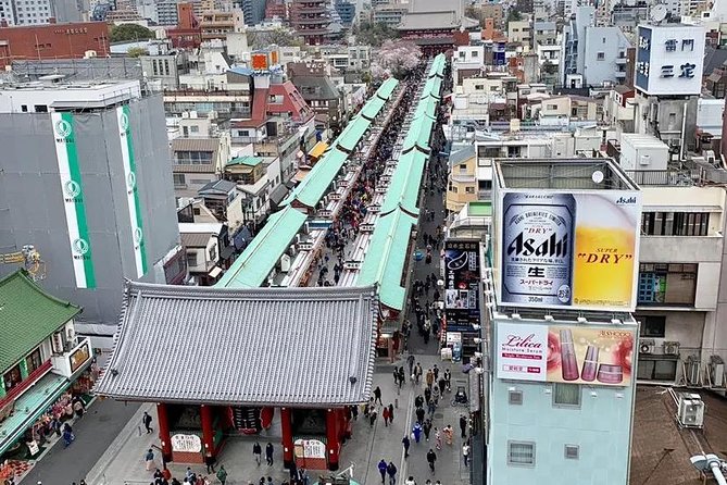 1 Day Private Charter Tokyo Tour (Green Number Plates) - Tokyo Skytree stop: what you see, and why the ticket is on you
