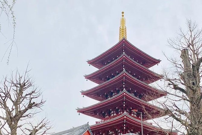 1 Day Private Charter Tokyo Tour (Green Number Plates) - Meiji Jingu and Harajuku energy: shrine calm plus street style