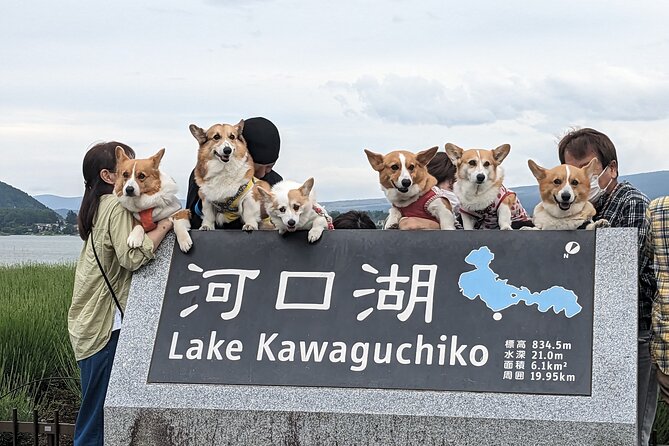 1 Day Private Mt Fuji & Lake Kawaguchiko English Speaking Driver - Mt. Fuji Panoramic Ropeway for extra elevation and angles