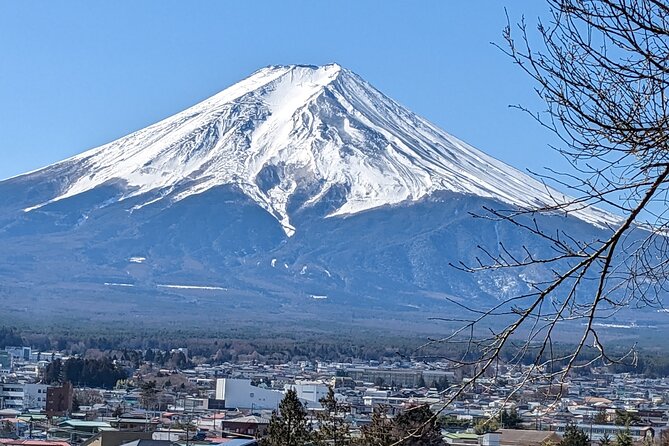 1 Day Private Mt Fuji & Lake Kawaguchiko English Speaking Driver - Oishi Park for flowers and quiet Mt. Fuji views