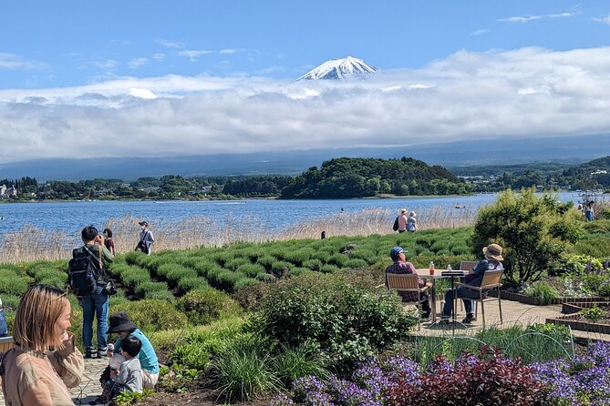 1 Day Private Mt Fuji & Lake Kawaguchiko English Speaking Driver - Price and logistics for up to 6 people