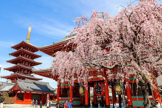 1-Day Tokyo Bus Tour - Quick highlights I’d plan around