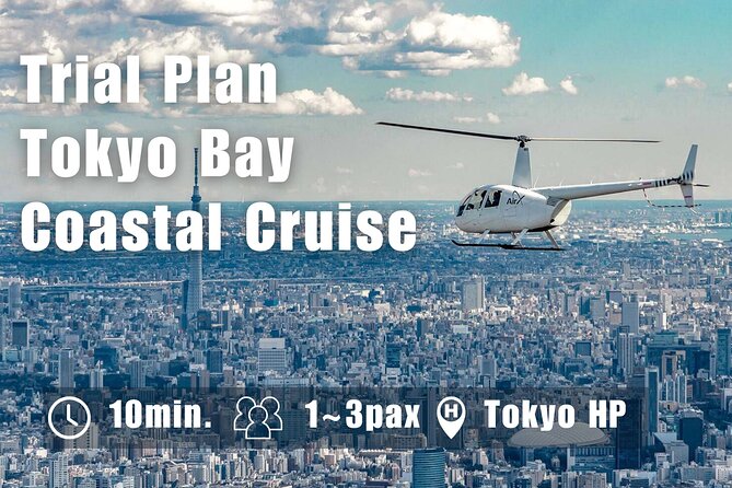 10-Min Helicopter Flight Tour Over Tokyo Bay - Weather reality: when plans change, and how to stay calm about it