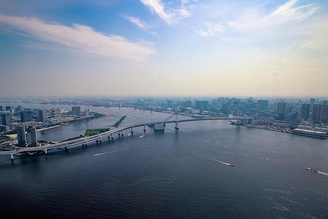 【10 mins】Tokyo Helicopter Tour + Private Car Pickup & Drop off - Who should book this, and who should skip it