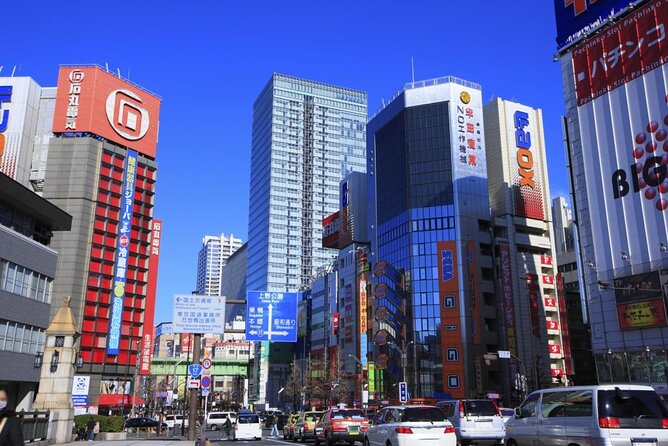 100% PRIVATE Anime, Manga, Game & Pop Culture Tour in Akihabara - Key Points You’ll Care About