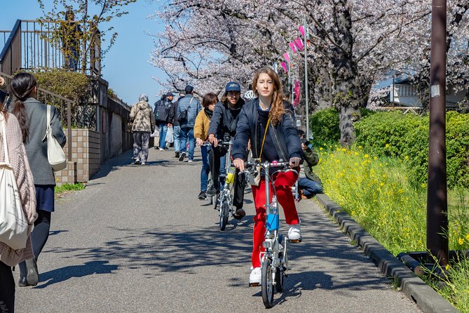 2.5 Hour-Guided Cycle Tour in the Central Tokyo - Meeting up in Higashimukōjima and Getting Ready with Folding Bikes