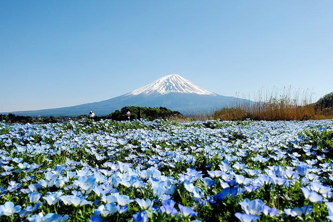 3 Days Tokyo, Mt. Fuji and Hakone Private Tour from Tokyo - Key Things I’d Focus On Before You Book