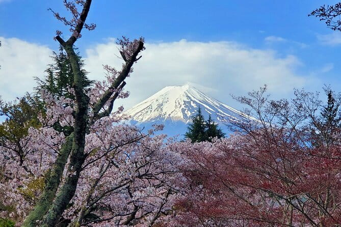 3 Days Tokyo, Mt. Fuji and Hakone Private Tour from Tokyo - Price and Value: What $1,265 Covers (and What It Doesn’t)