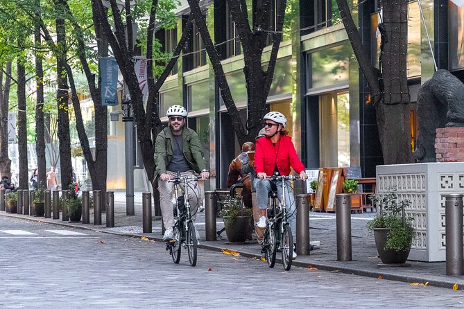 3-Hour Tokyo Private E-Bike Tour Starting from Your Hotel - Key points before you go