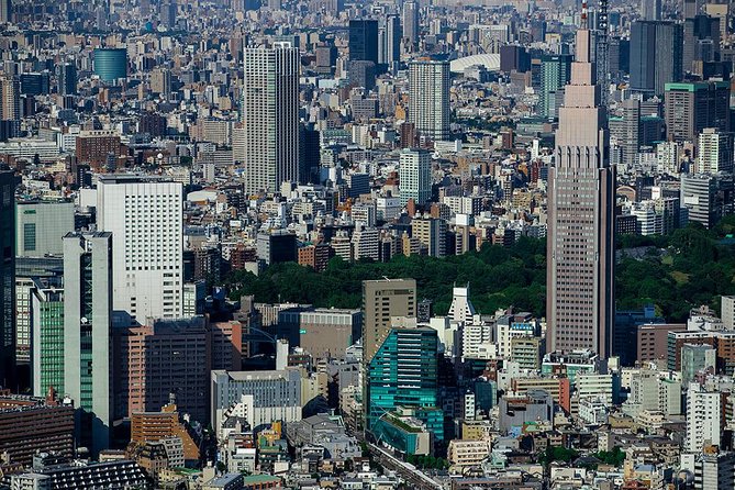 30-Min Tokyo Central Private Heli Tour– Asakusa, Skytree, Shibuya - Imperial Palace From Above: Getting Oriented Fast