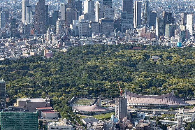 30-Min Tokyo Central Private Heli Tour– Asakusa, Skytree, Shibuya - The Staff and Communication Factor (It’s Not Just the Views)