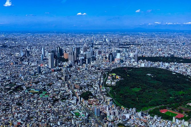 75-Min Mt. Fuji Half Day Private Helicopter Tour - Comfort, limits, and on-the-ground rules you should not ignore