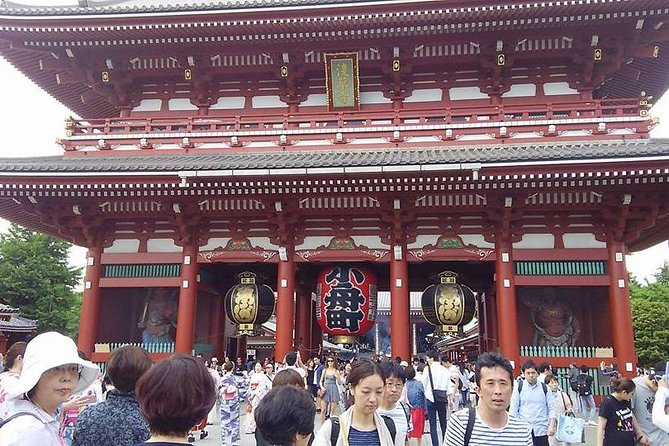 8-hour Tokyo tour by qualified tour guide using public transport - Meiji Jingu and Takeshita Street: shrine calm, then pop-culture energy