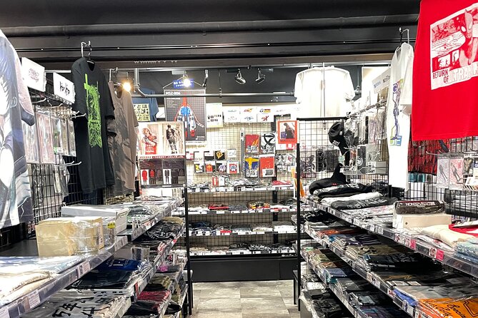 Akihabara Otaku Group Tour - What to Buy (and What to Do If You’re Still Unsure)