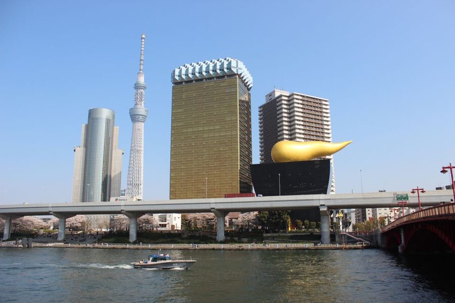 Asakusa: Kitchen knife store visits after history tour - Who This Tour Fits Best (and Who Might Want to Skip It)