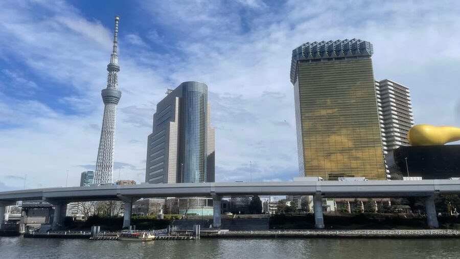 Awesome Private Tour: Tsukiji, Asakusa, Shinjuku, Shibuya - Key highlights worth caring about