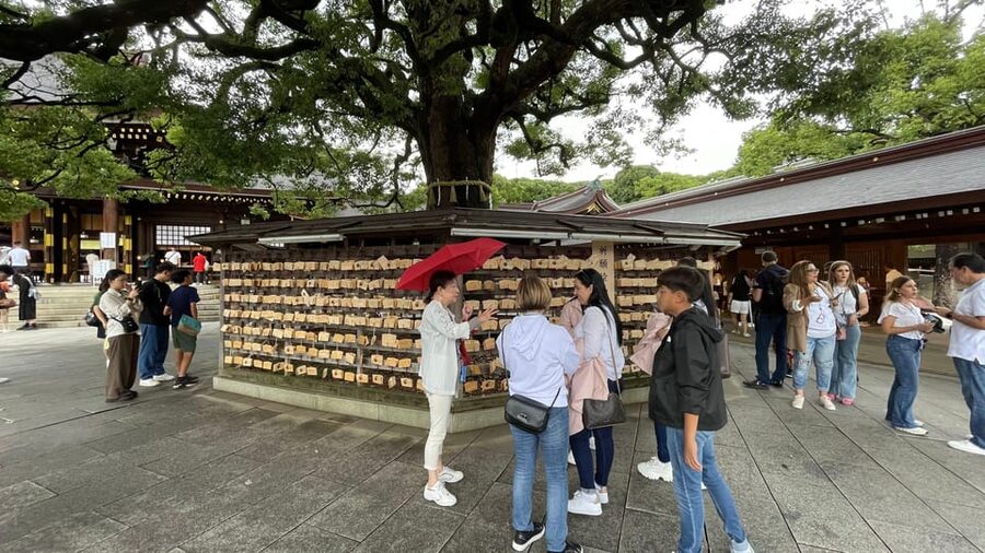 Awesome Private Tour: Tsukiji, Asakusa, Shinjuku, Shibuya - Akihabara and Ueno: pop culture and park time without the detours