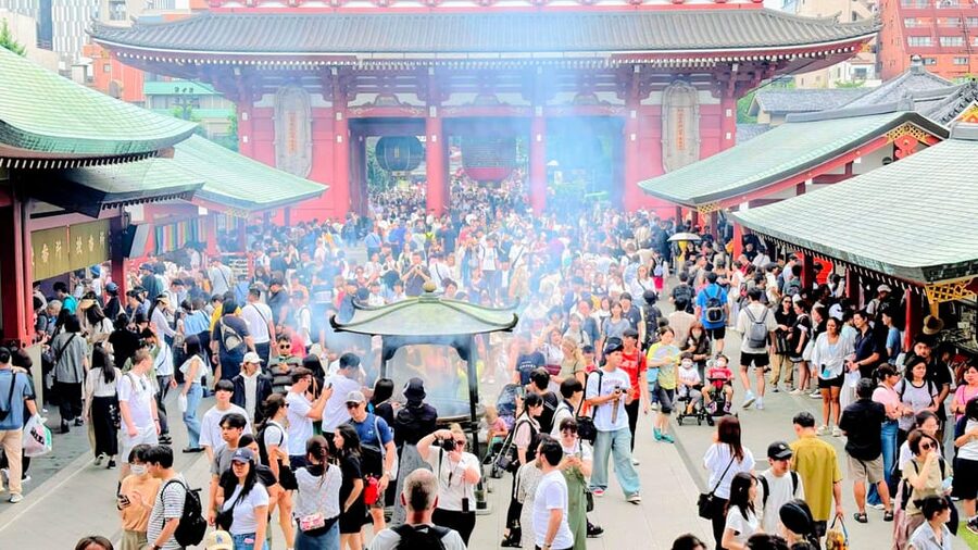 Awesome Private Tour: Tsukiji, Asakusa, Shinjuku, Shibuya - Tsukiji Outer Market: the best kind of chaos (with a plan)