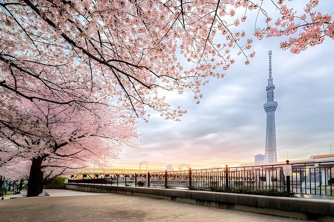 Best of Tokyo Private Tour English Driver &Customizable Itinerary - Why a private Tokyo highlights drive feels different