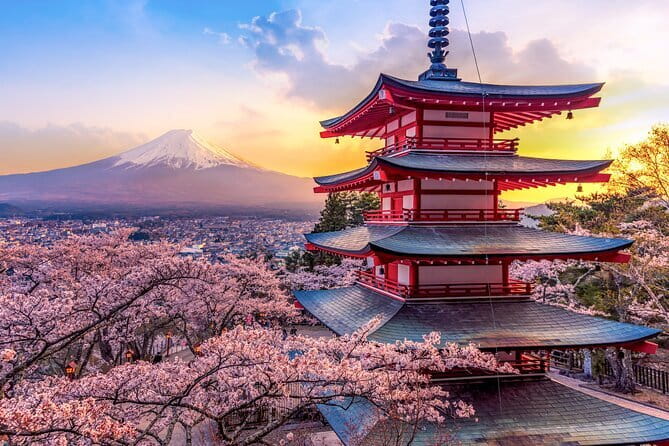 Best of Tokyo Private Tour English Driver &Customizable Itinerary - Stop 6: Takeshita Street in Harajuku (45 minutes, ticket included)