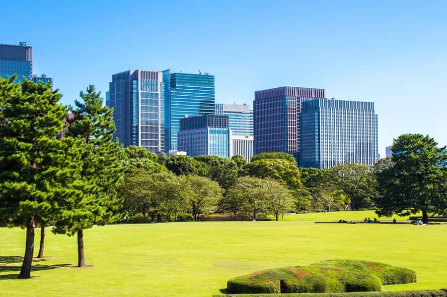 Best of Tokyo Small Group Tour - Meeting at Kokyo Gaien: a calm start that helps later