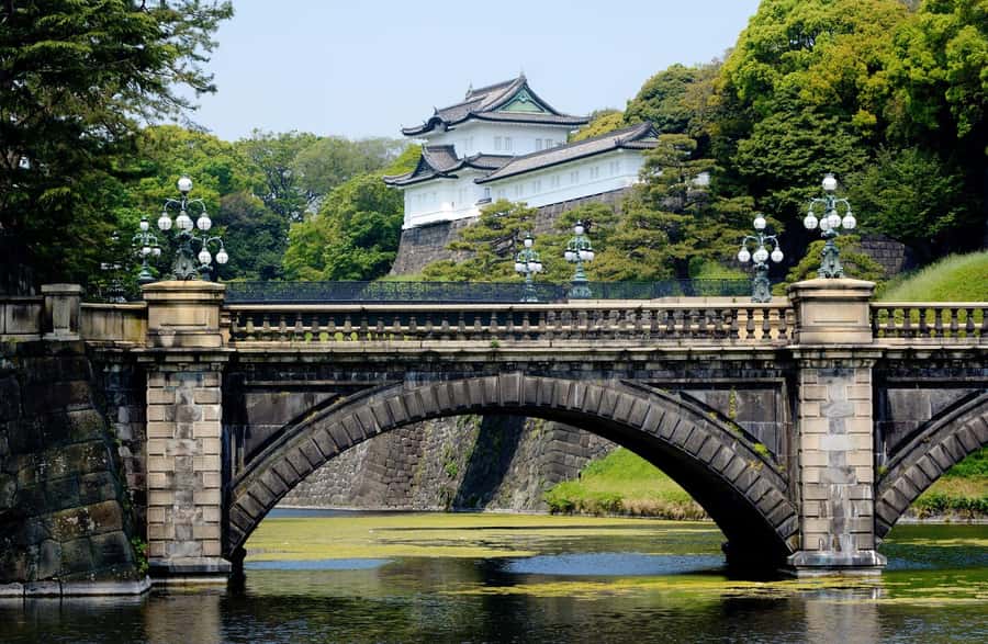 Best of Tokyo Small Group Tour - Meiji Jingu Shrine: a quiet pause that still feels Tokyo