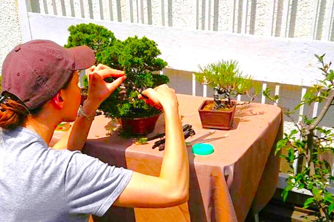 Bonsai Tour & Experience at the Most Sacred City for Bonsai in JP - Meeting at Toro Station and keeping the day easy