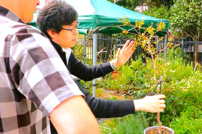 Bonsai Tour & Experience at the Most Sacred City for Bonsai in JP - Hands-on pruning and shaping: where the skill clicks