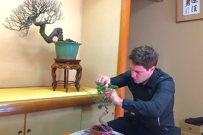 Bonsai Tour & Experience at the Most Sacred City for Bonsai in JP - The garden walk: how to read bonsai like a designer