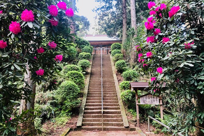 Buddha, Bamboo & Zen - Bespoke Kamakura Private Walking Tours - Escaping Tokyo: why Kamakura works as a day trip