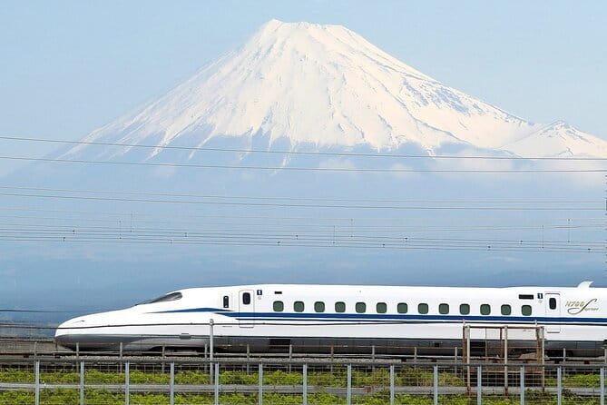 Bullet Train Experience & Mishima Shrine Private Tour from Tokyo - Key highlights worth planning around