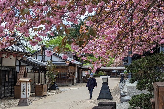 Chartered Private Tour - Tokyo to Nikko, Toshogu, Edo Wonderland - Toshogu Shrine: the Tokugawa mausoleum day (and why it’s not just pretty gates)