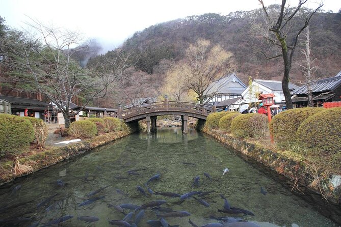 Chartered Private Tour - Tokyo to Nikko, Toshogu, Edo Wonderland - Taiyuimbyo and Tamozawa Imperial Villa: the Tokugawa story continues