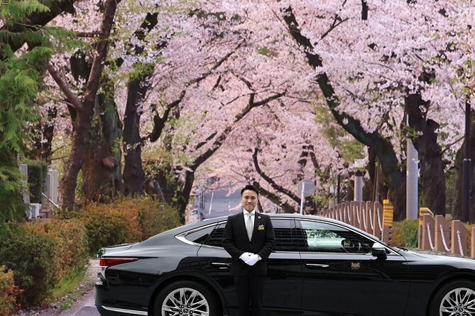 Cherry Blossom Private Tour - Key Highlights You’ll Care About