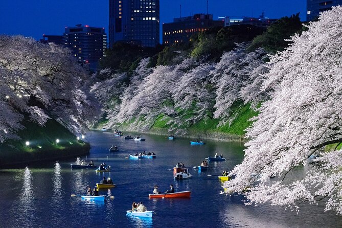 Cherry Blossom Private Tour - How Long It Feels: Short Stops, Good Flow
