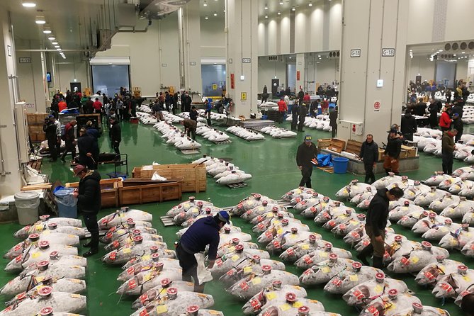 Complete Tuna Auction & Toyosu Fish Market Tour - Key highlights you’ll care about