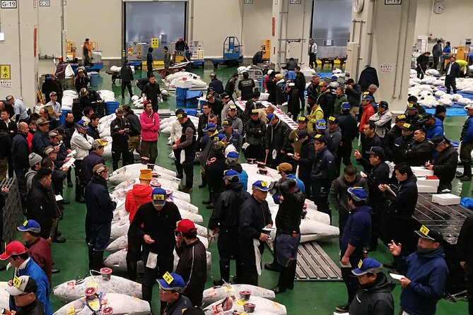 Complete Tuna Auction & Toyosu Fish Market Tour - Entering Toyosu the smart way: the 4:30 am plan