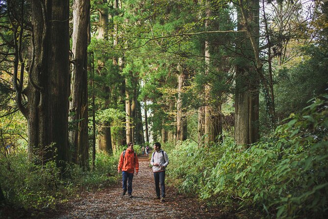 Custom Private Tour in Hakone with a Certified Local Guide - Meeting at Hakone-Yumoto and planning a smooth 7 hours